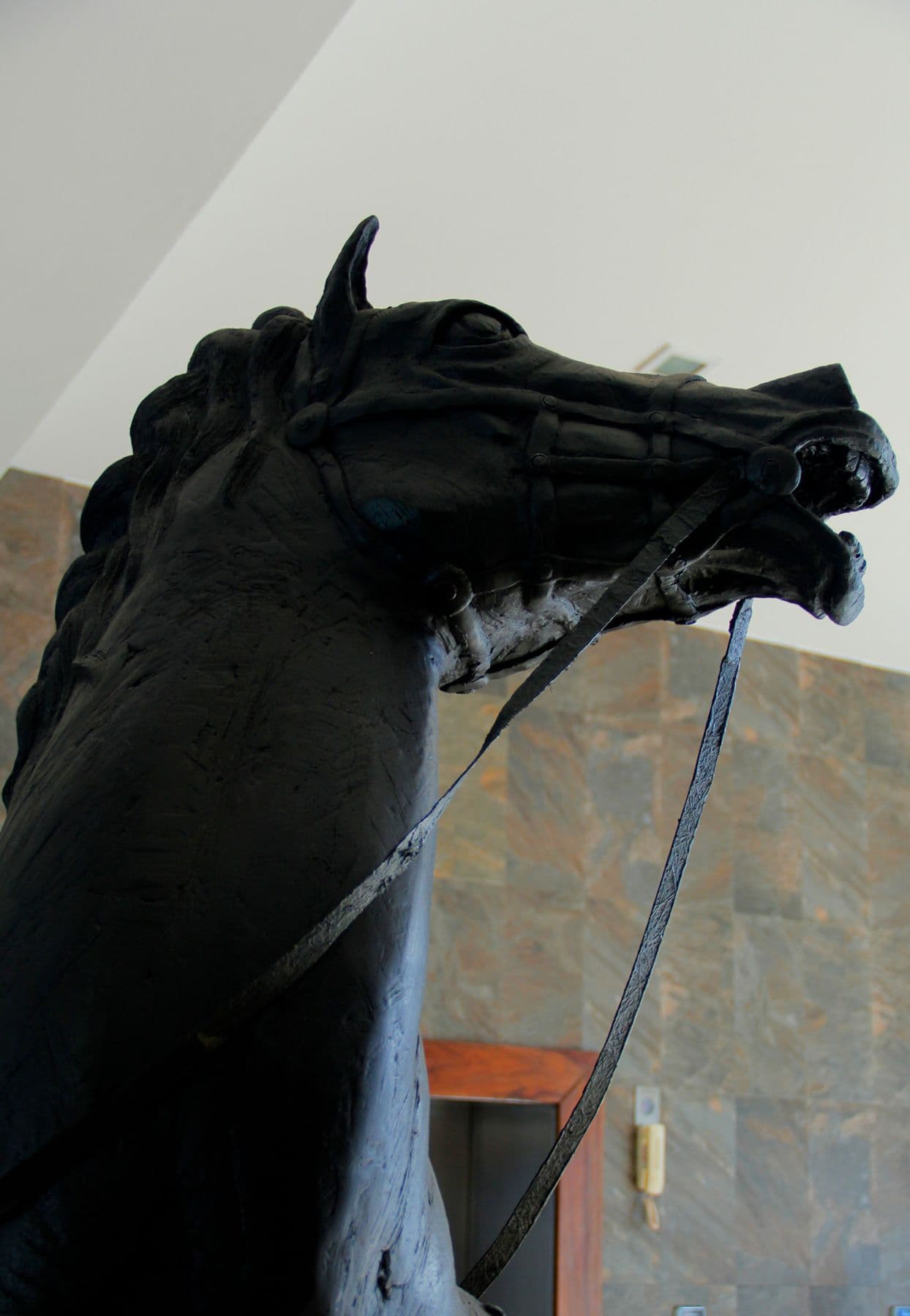 horse-8.jpg